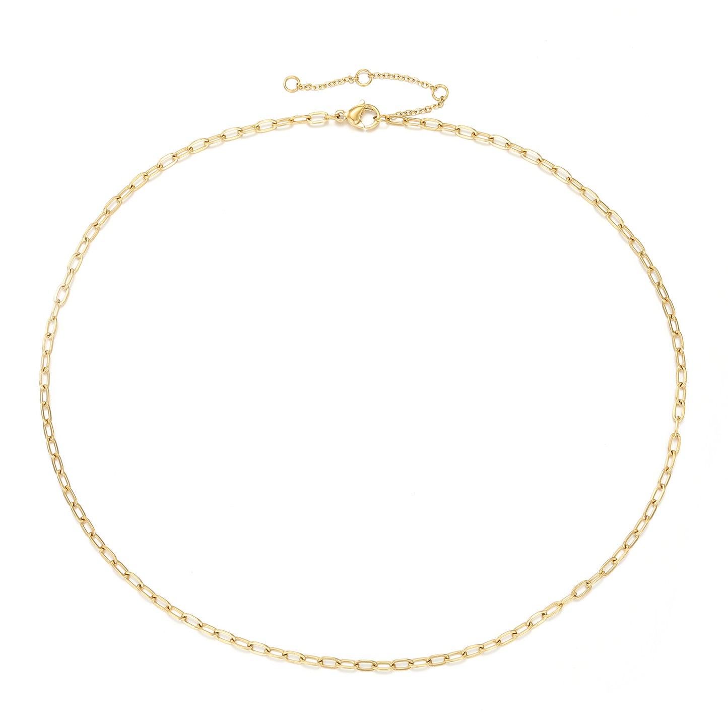 Randia Chain Necklace